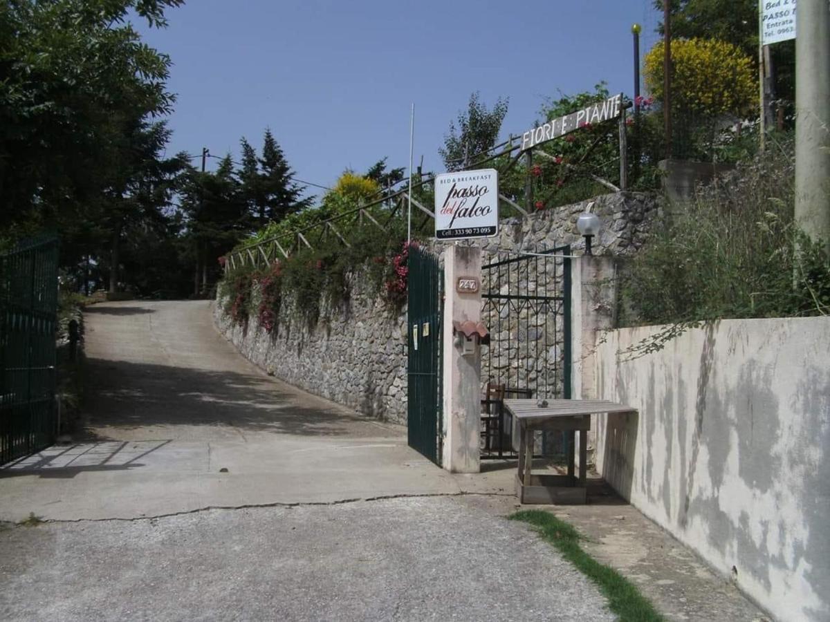 B&B Passo Del Falco Sorianello Esterno foto
