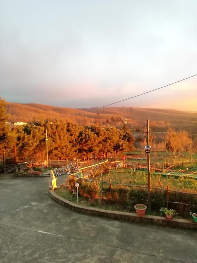 B&B Passo Del Falco Sorianello Esterno foto